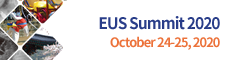 EUS Summit 2020